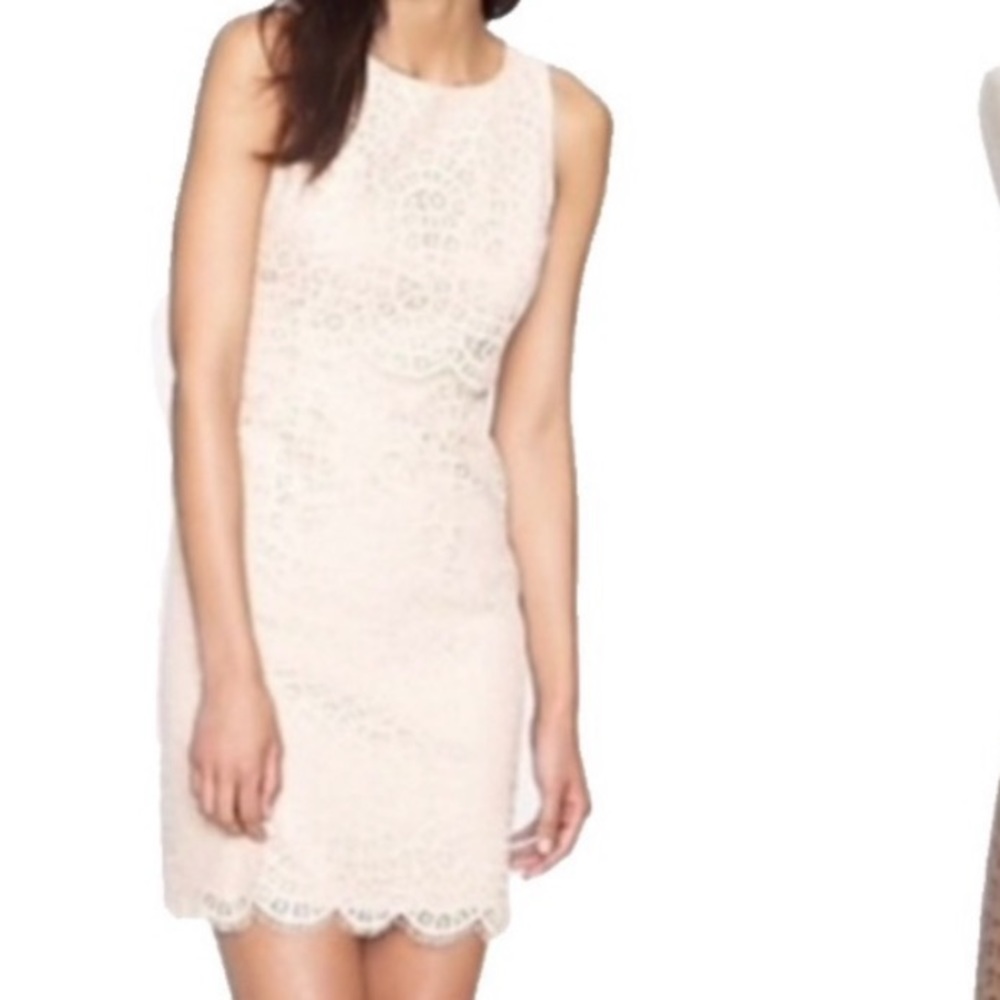 J. Crew lace mini dress